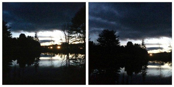 pond collage
