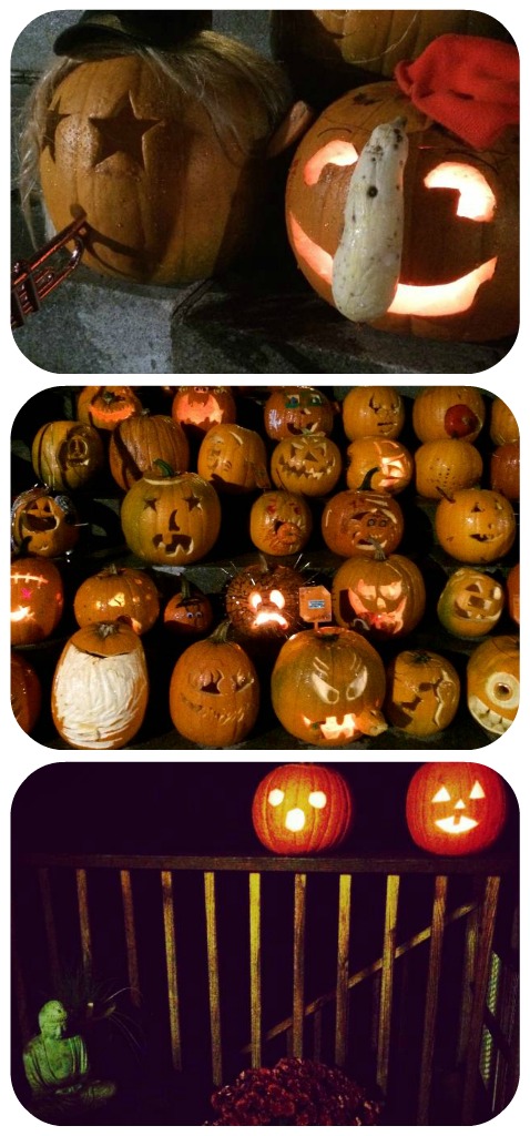 pumpkin collage