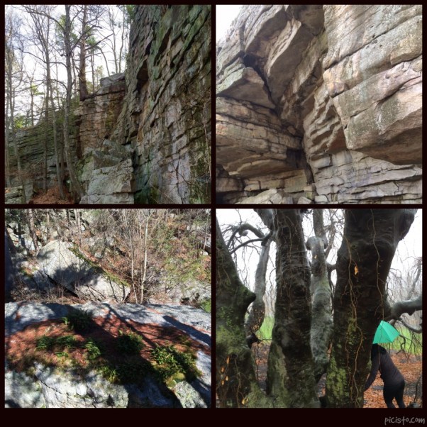 picisto-20150423110938-924424