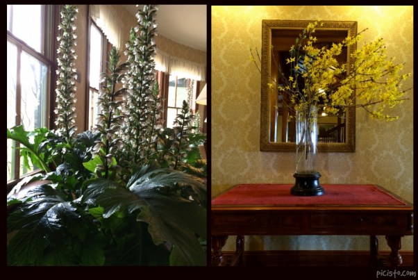 picisto-20150423173053-973715