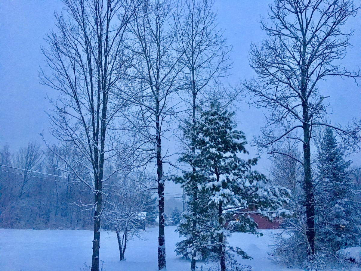 Vermont Snow at dusk