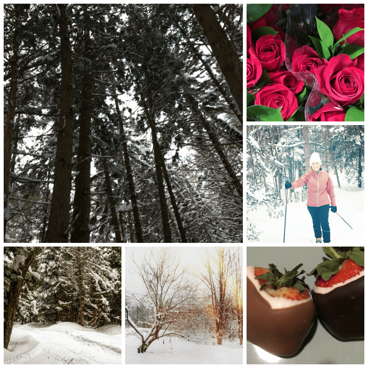 February holiday photographs