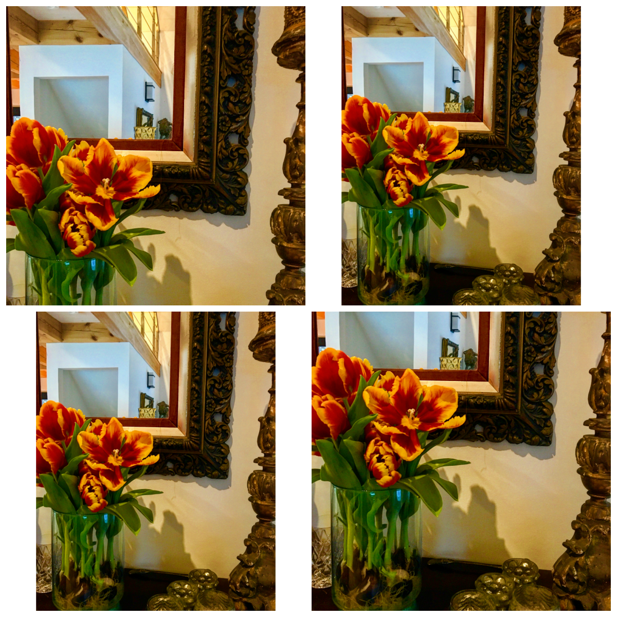 Tulips in front of an antique mirror