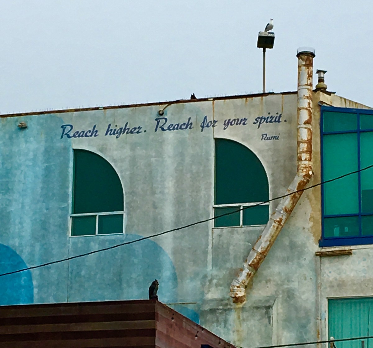 Rumi at Venice Beach