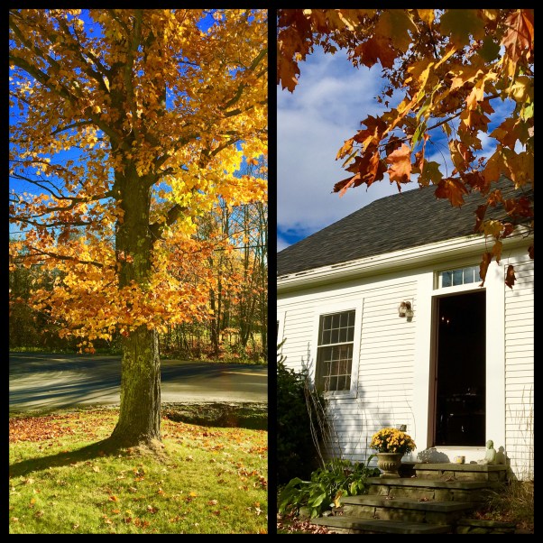 autumn in vermont