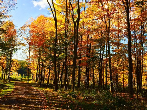 Autumn in Vermont