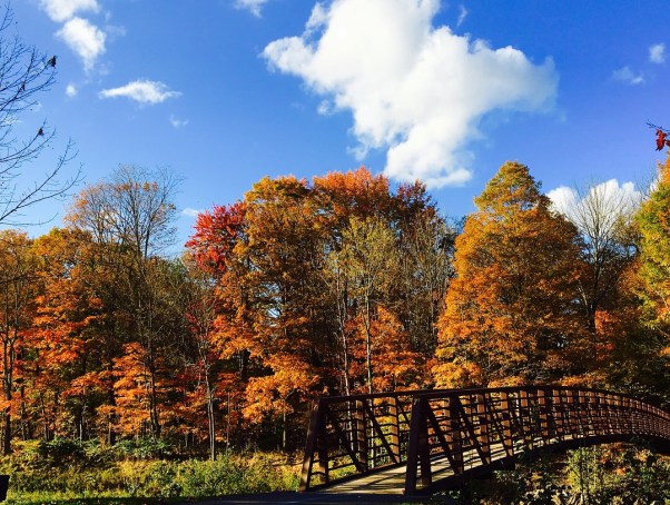 Stowe Recreation Path