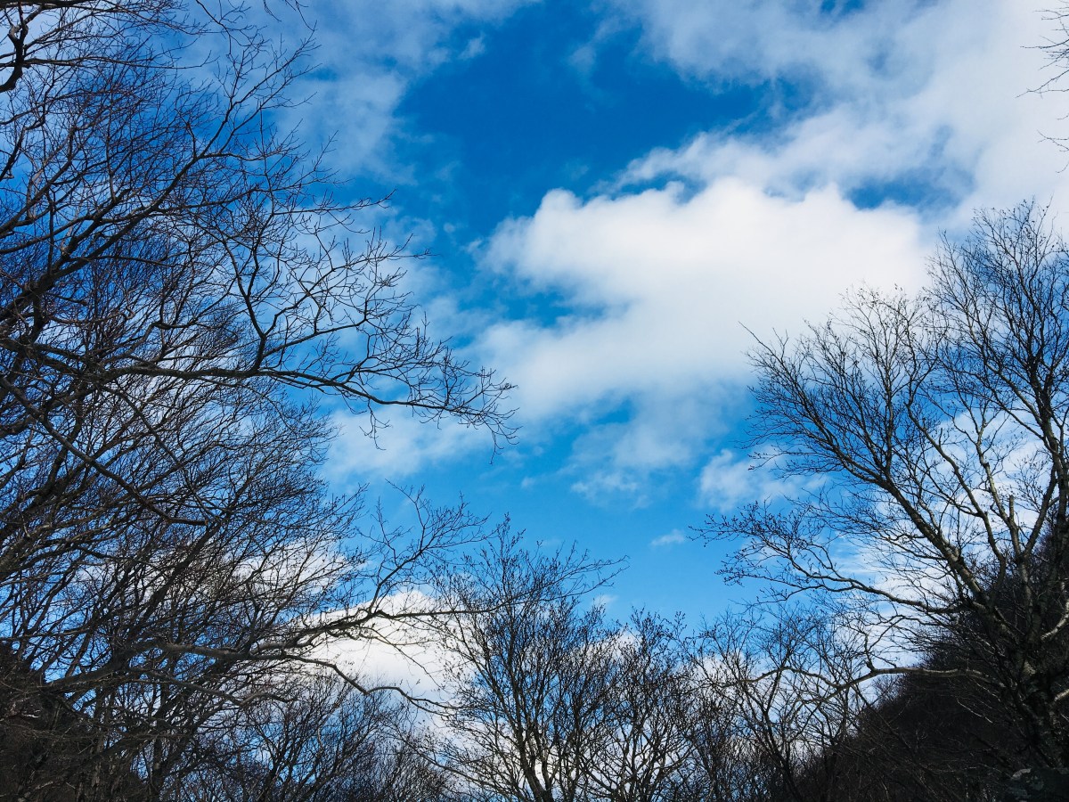 Blue sky on a winter day