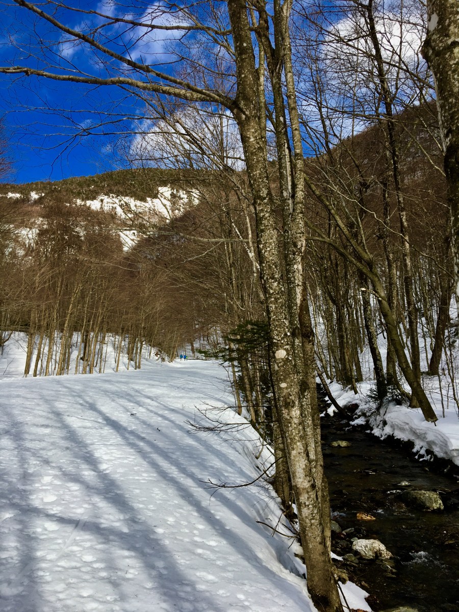 mountain stream in Stowe, Vermont