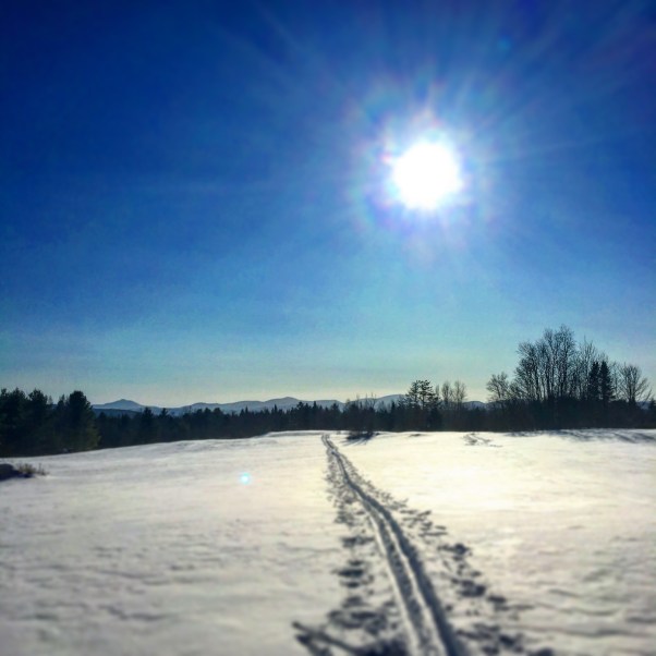 ski tracks across a snowy Vermont field