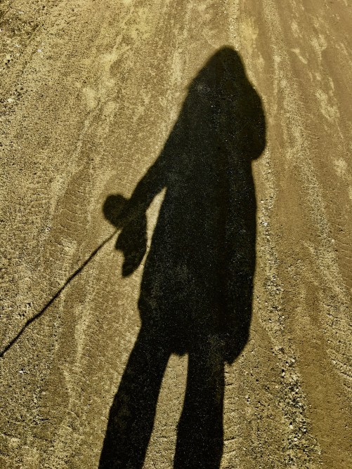 shadow on the dirt road during mud season