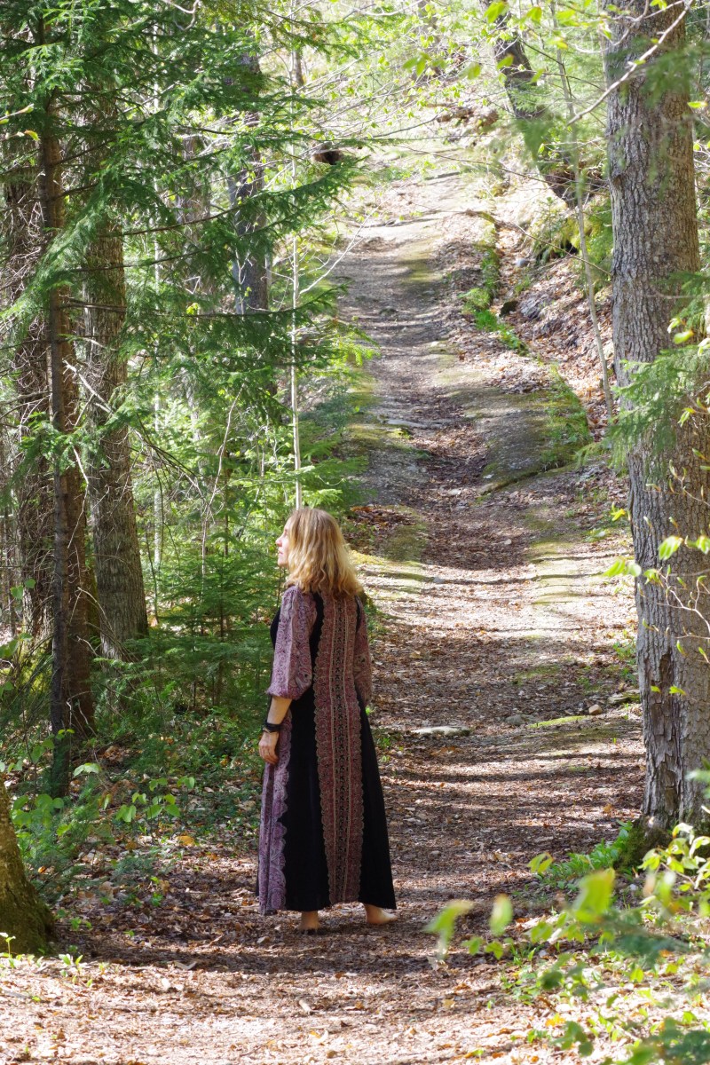 woods walk in Vermont
