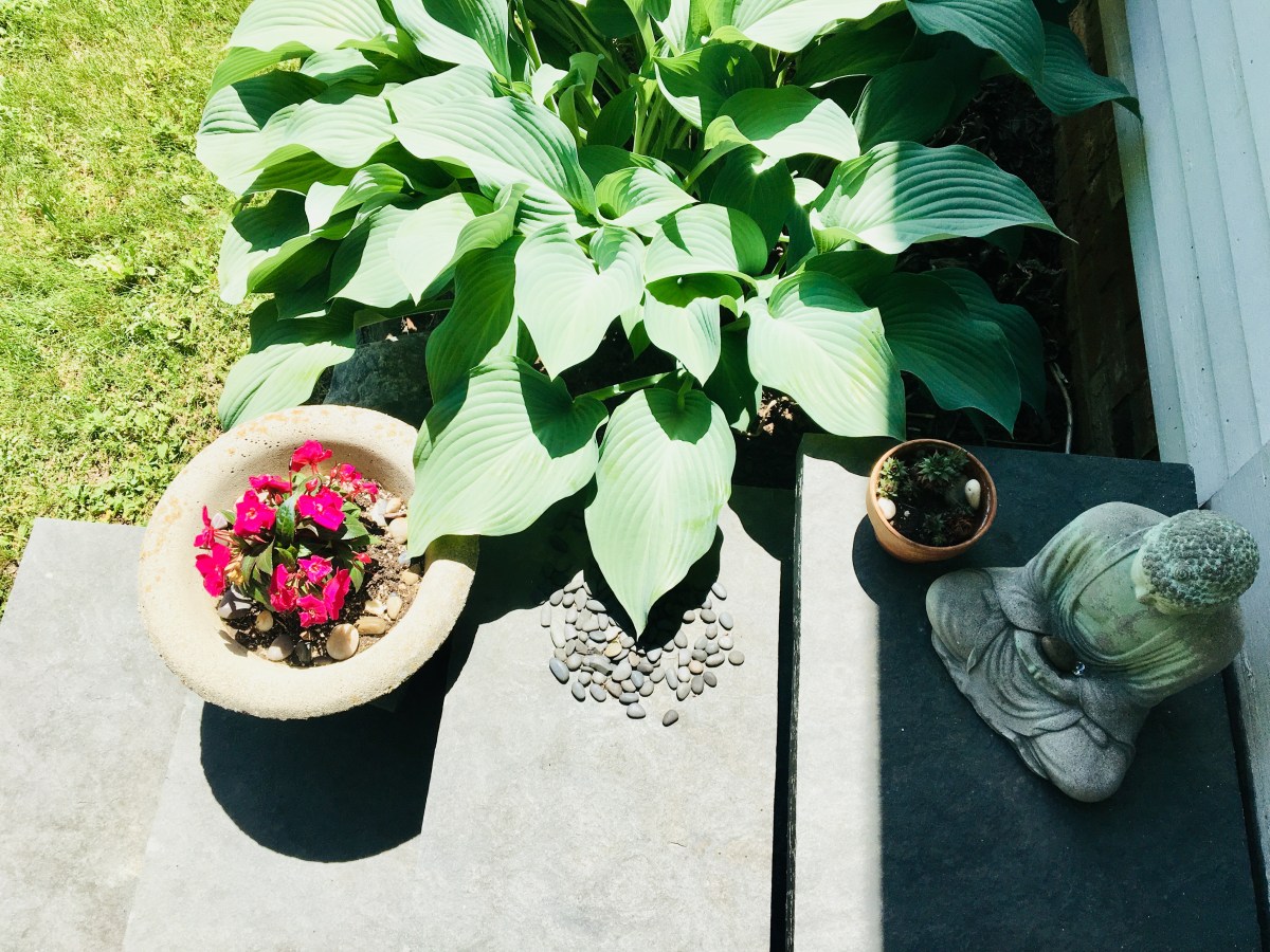 buddha and flowerpot