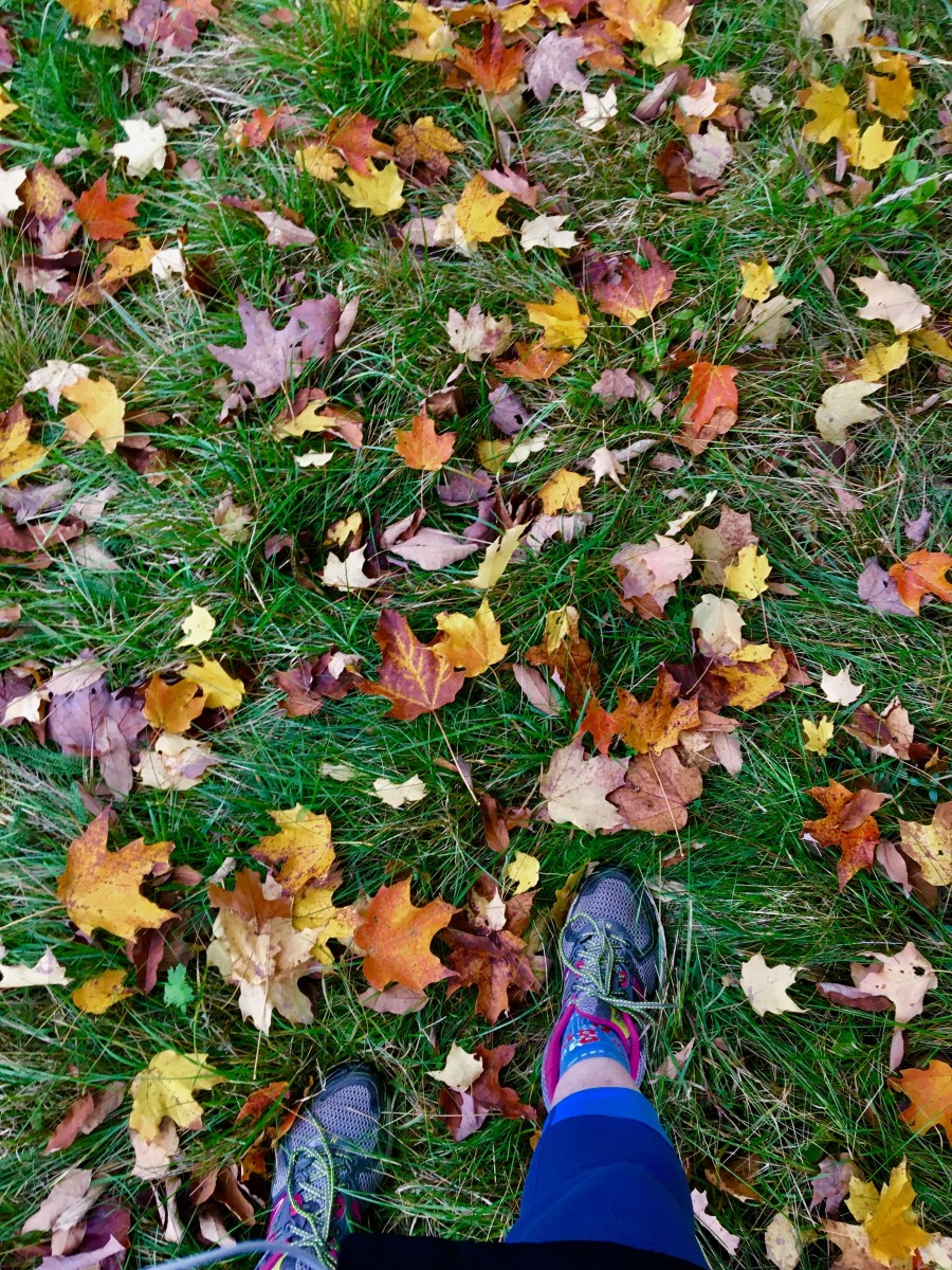 Fall leaves scattered over the grassy field