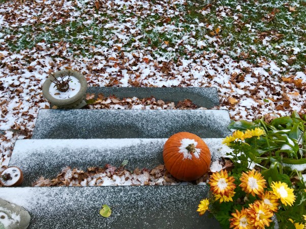 snow on fall leaves