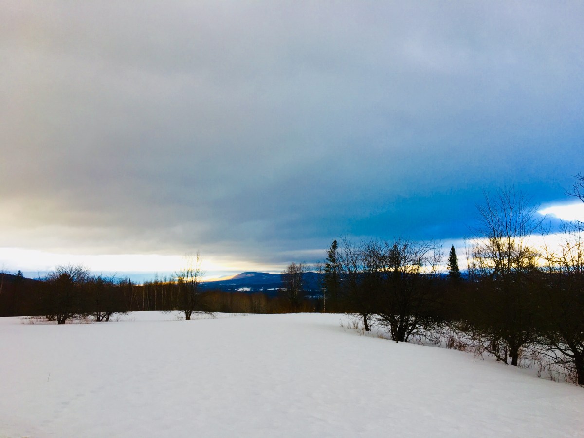snowy field at sunset