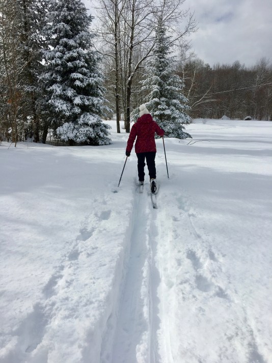 nordic ski across the snowy field 