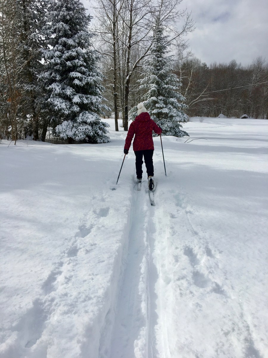 nordic ski across the snowy field
