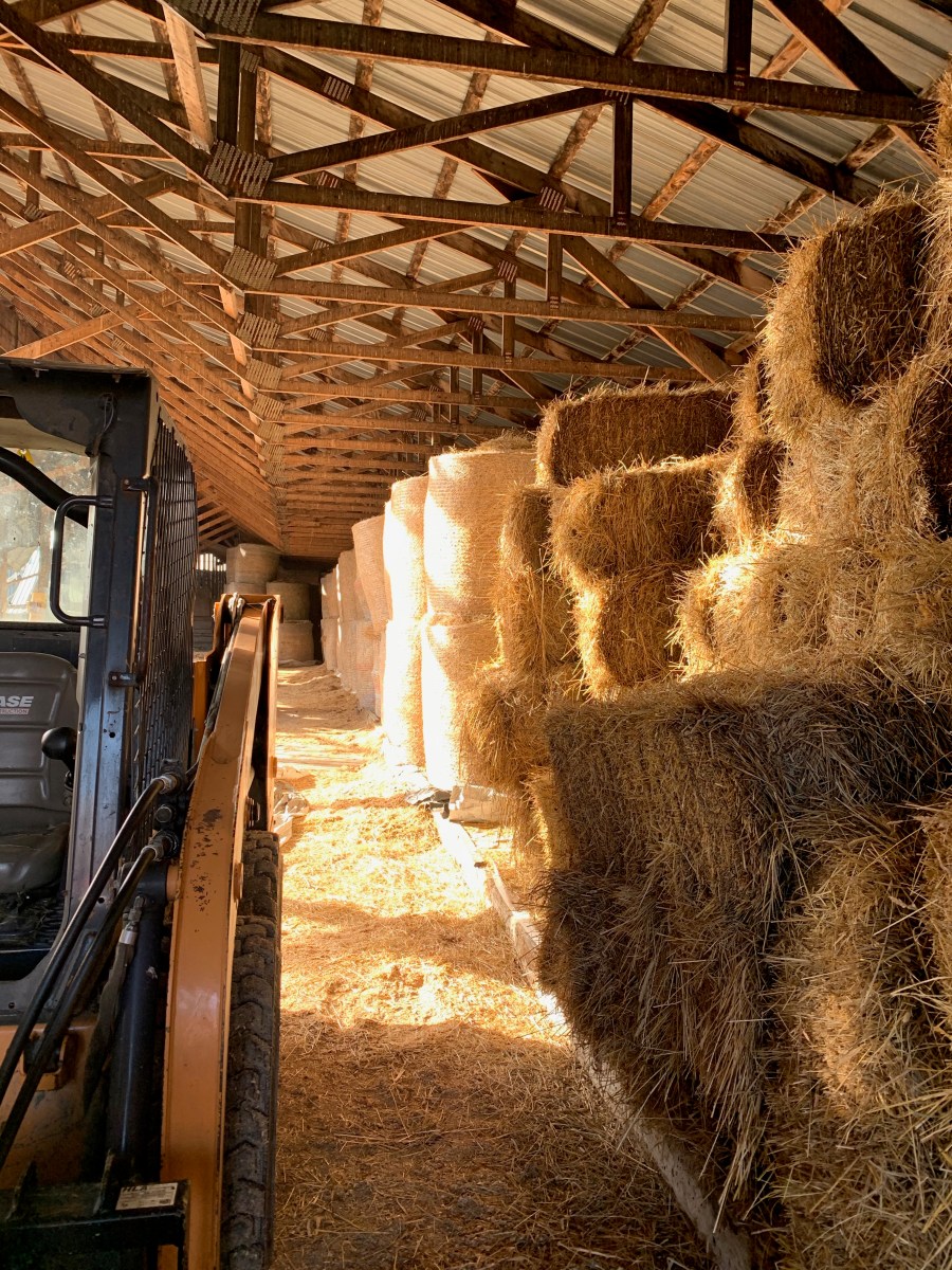 hay in a barn