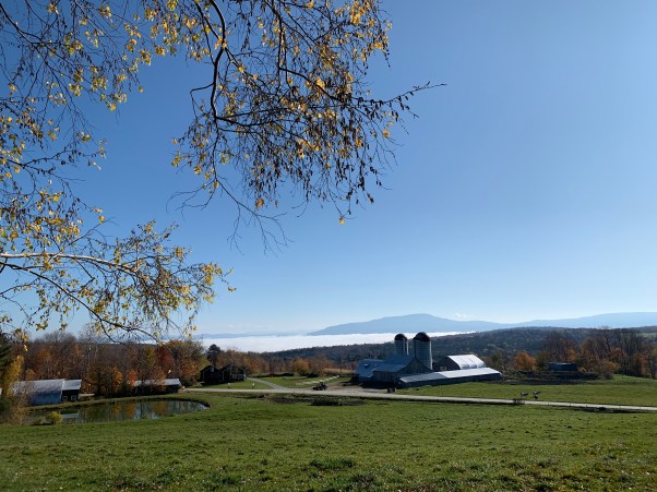 Vermont farm in the morning