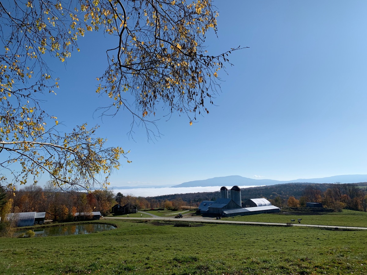 Vermont farm in the morning