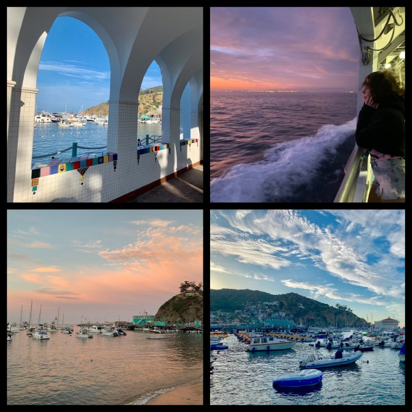 Catalina Scenes