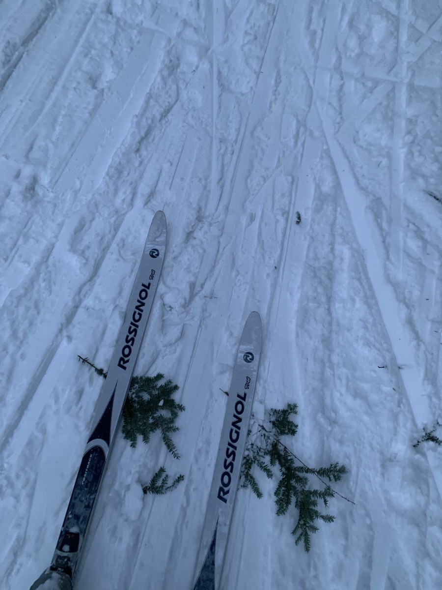 cross-country skiing