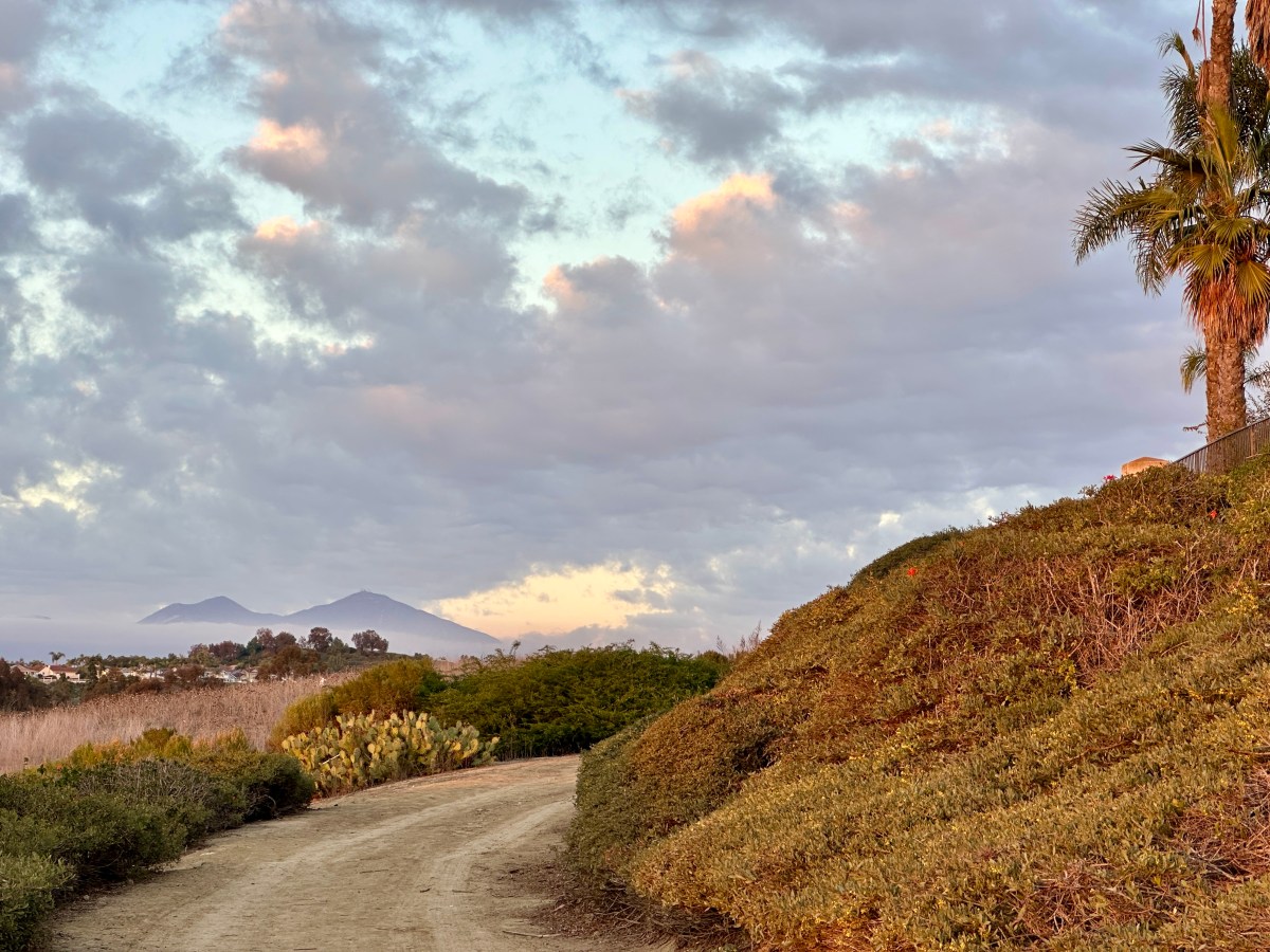 the dry landscape of southern California