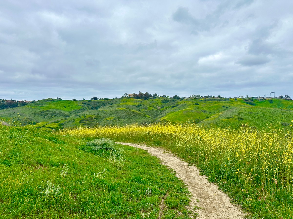 southern California spring