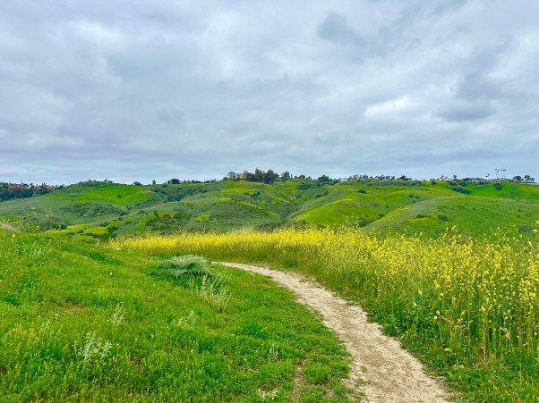 southern California spring
