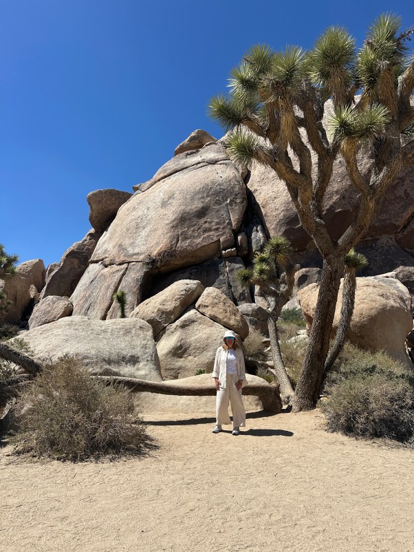Joshua Tree National Park visit