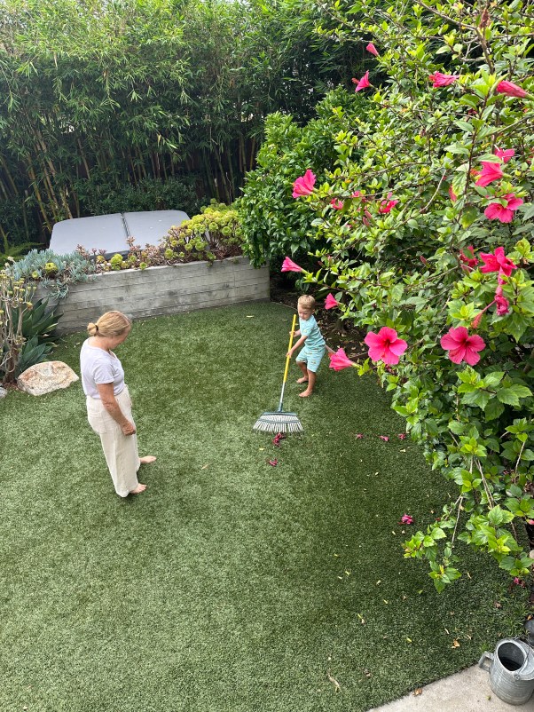 backyard play