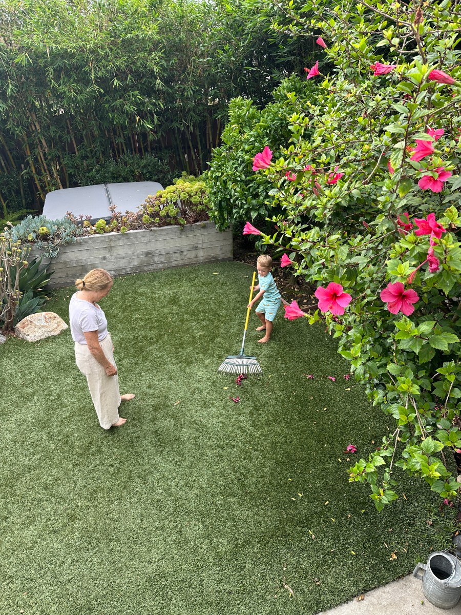 backyard play