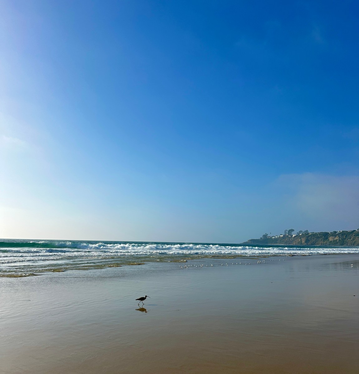 the southern California coast