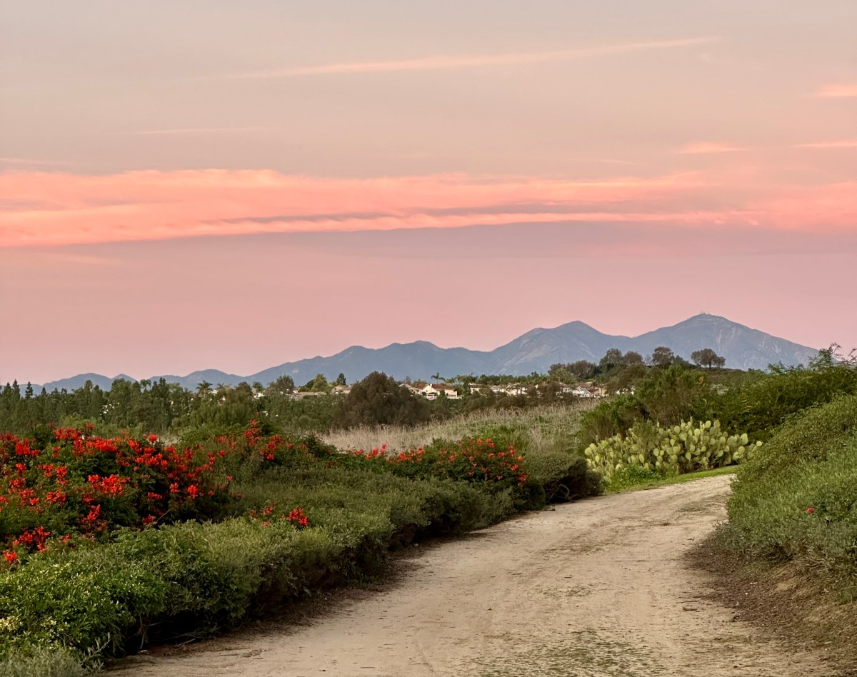 sunset with the mountains in the distance