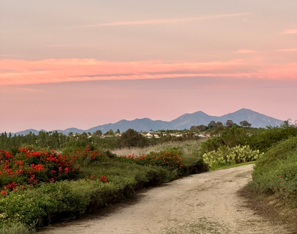 sunset with the mountains in the distance