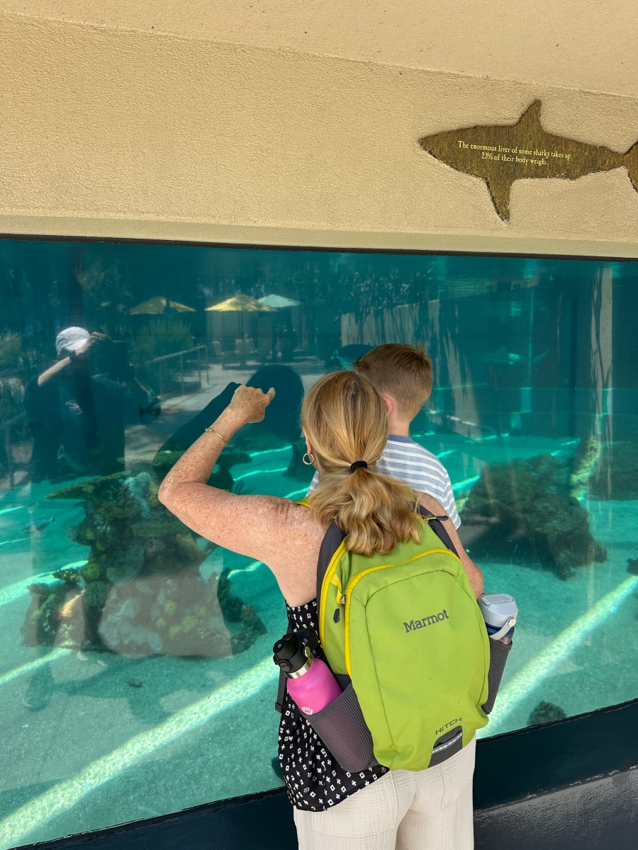 people at an aquarium