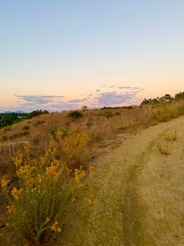 desert path at dusk