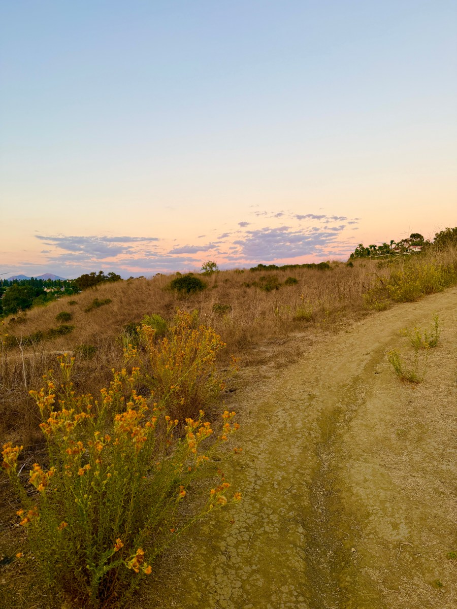 desert path at dusk